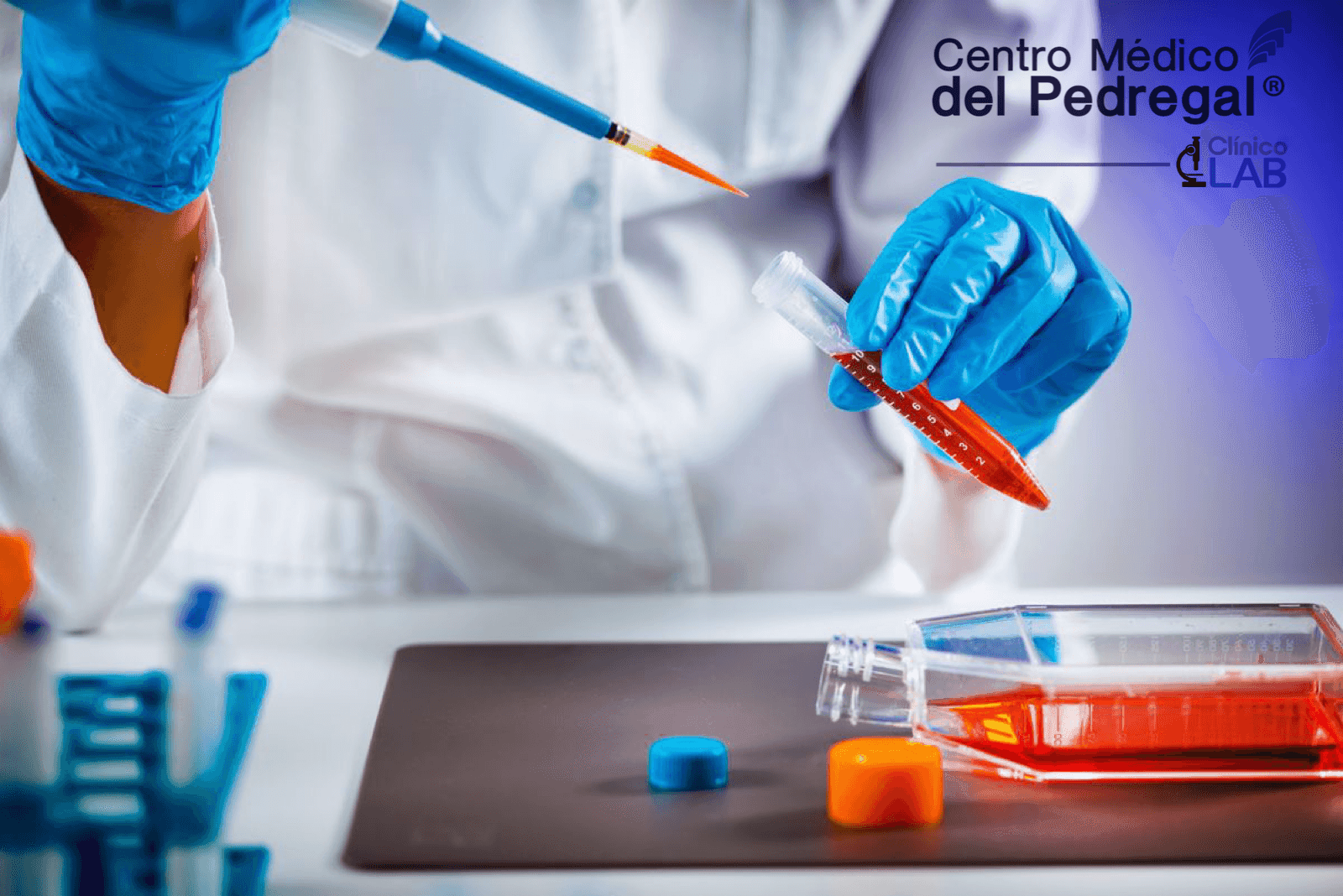 Servicio de Laboratorio