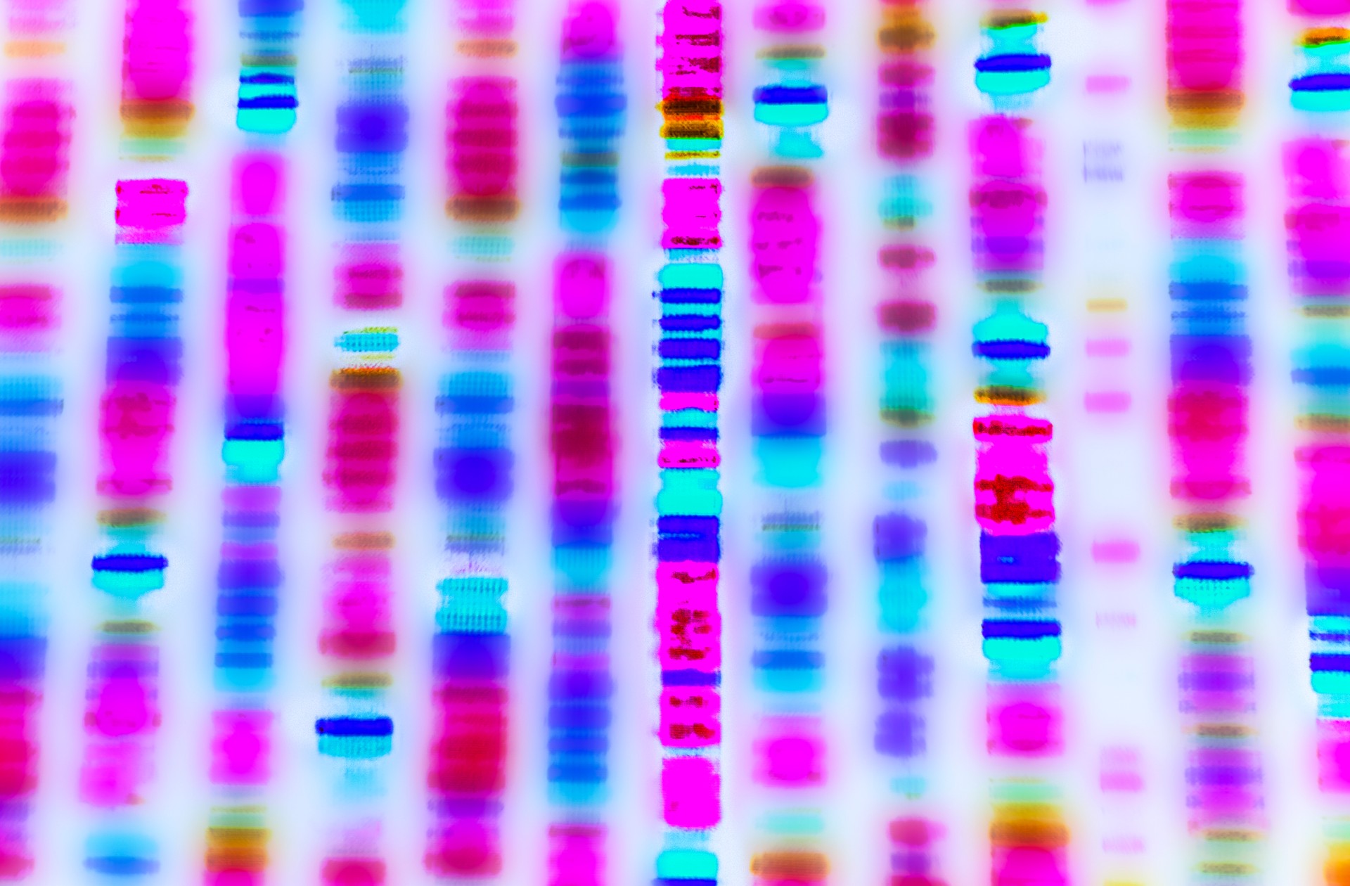 DNA sequence